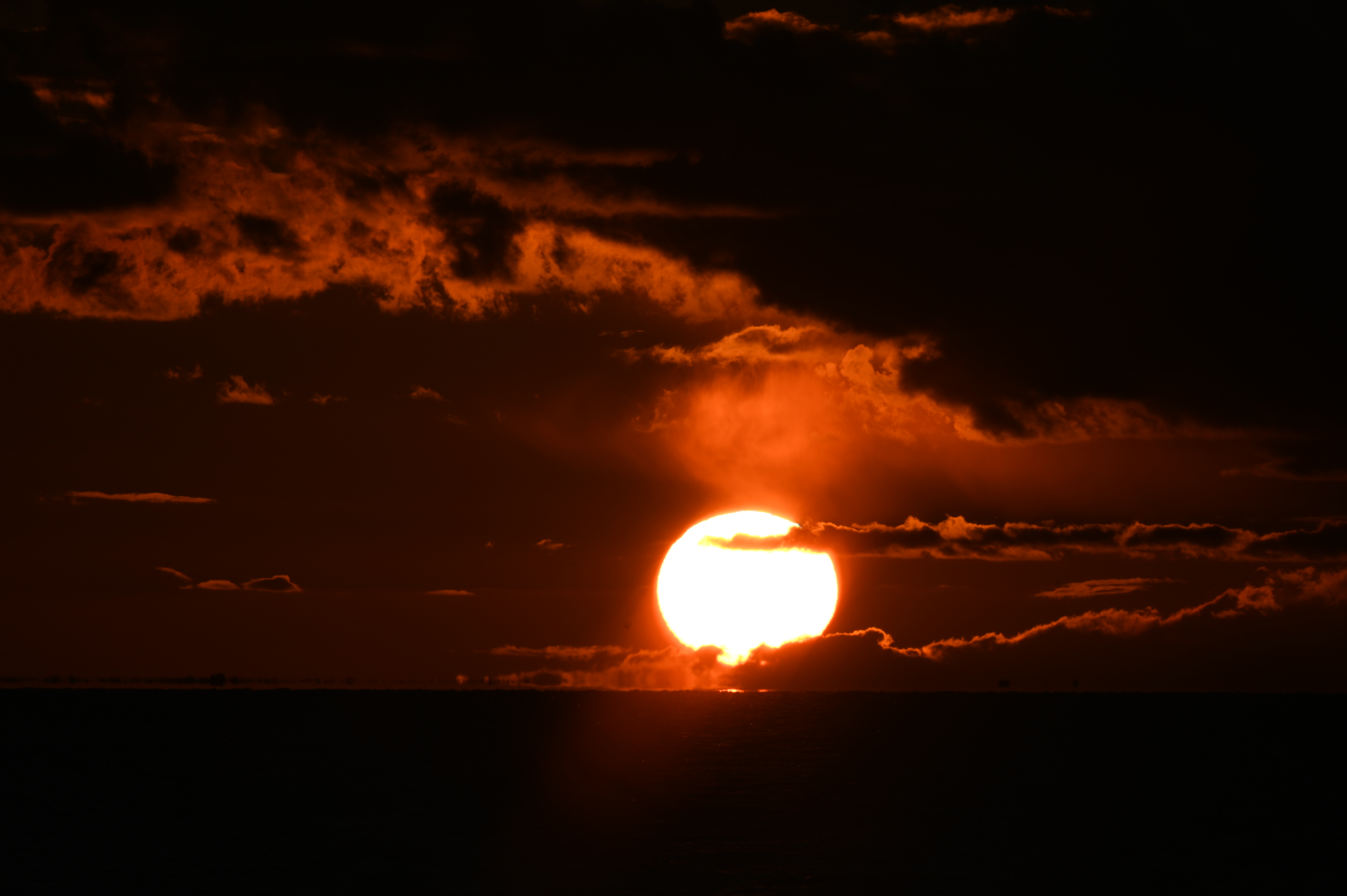 2025/10/18 - walk/DSC_0457.JPG